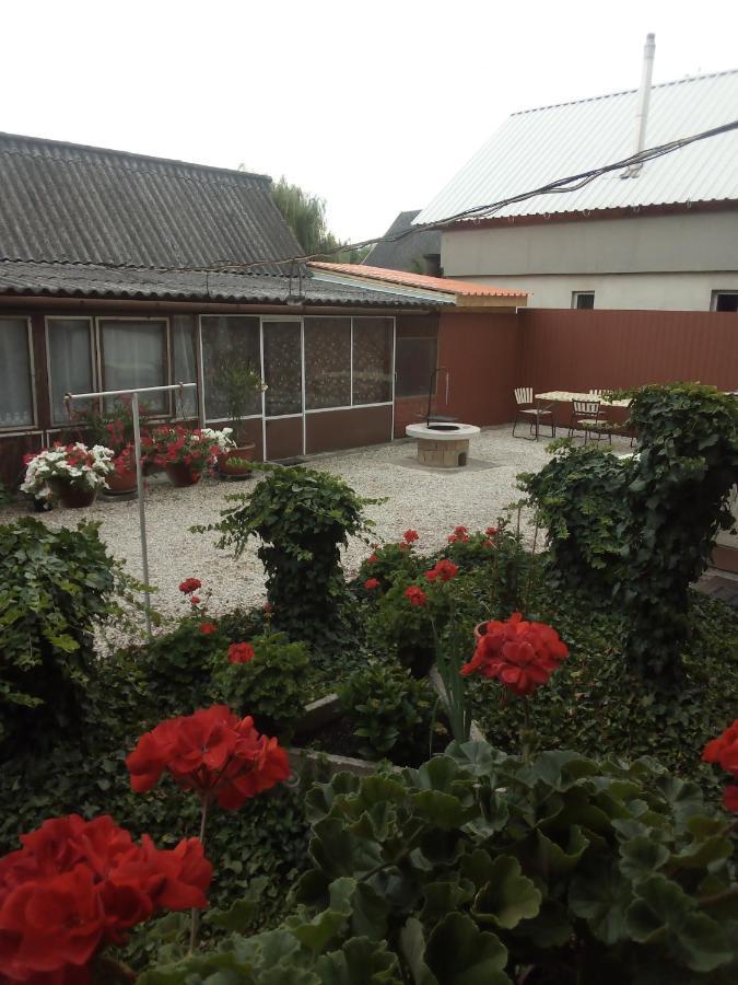 Vadkacsa Apartmanhaz Medencevel Zamárdi Exterior foto